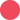 ROSA FLUOR